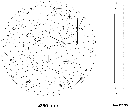 DIAMOND Detailzeichnung 2023.webp